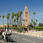 rental car in marrakech