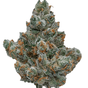 Moonlit Mango – Indica-Dominant