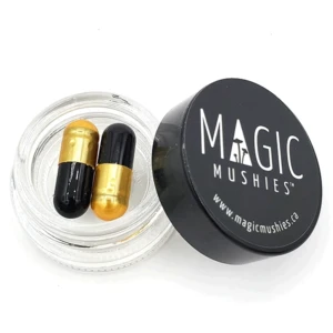 Magic Nootropic Capsules | Godzilla Snacks | 750mg ×2