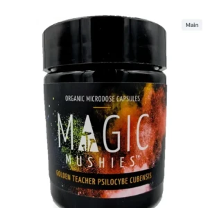 Golden Teacher Magic Mushroom Capsules – 500mg