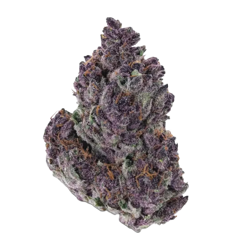 Sour Diesel Canada sativa cannabis strain flower