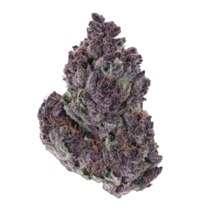 Sour Diesel Canada sativa cannabis strain flower