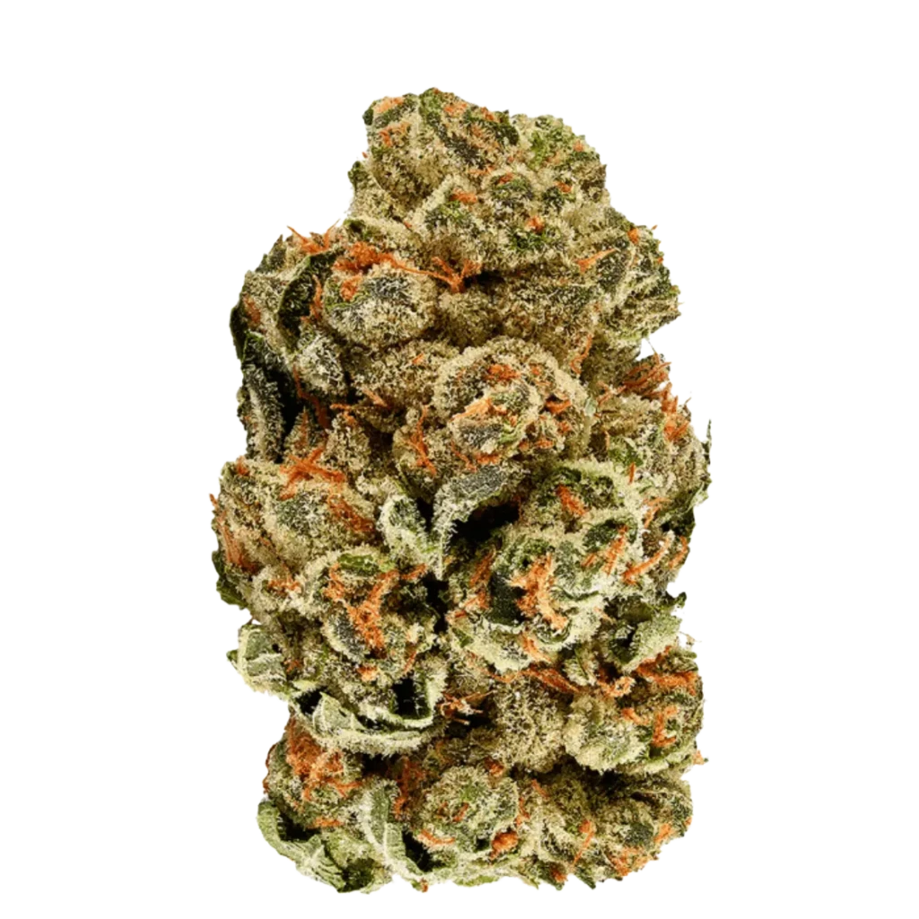 Lollipop Lush Sativa cannabis strain – sweet candy flavoured premium weed