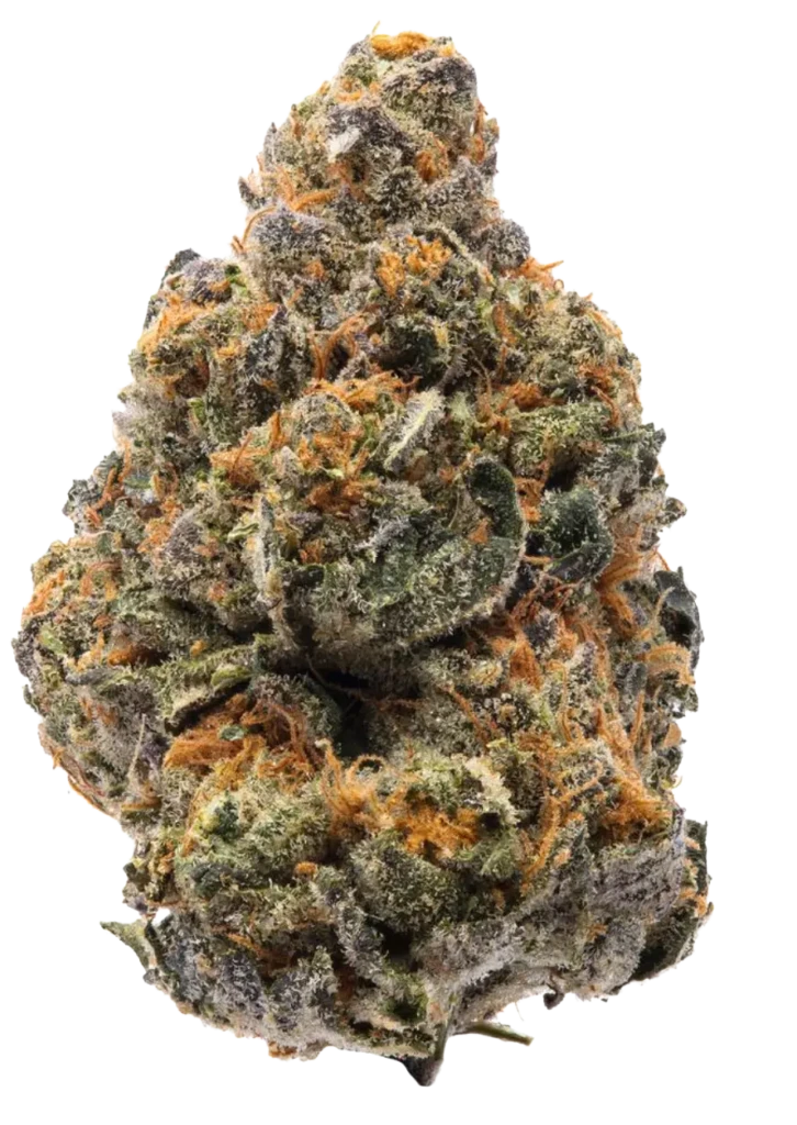 strain bruce banner weed canada